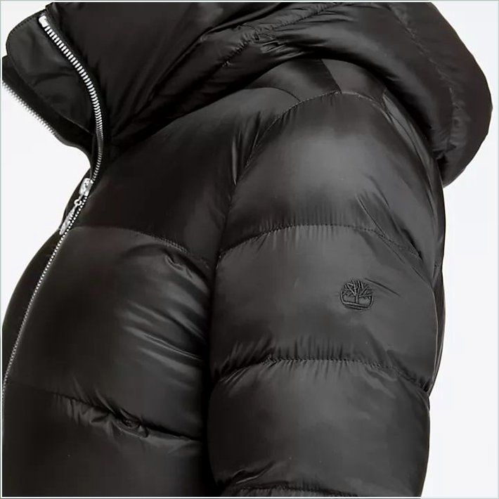  TIMBER Womens Mt. Rosebrook Insulated Parka 7
