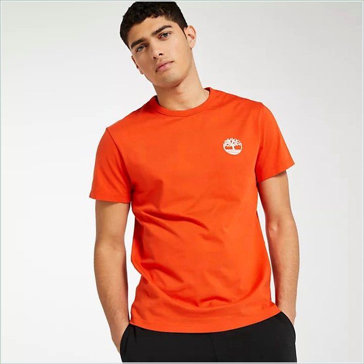  TIMBER Mens Camo Back Logo T-Shirt 1