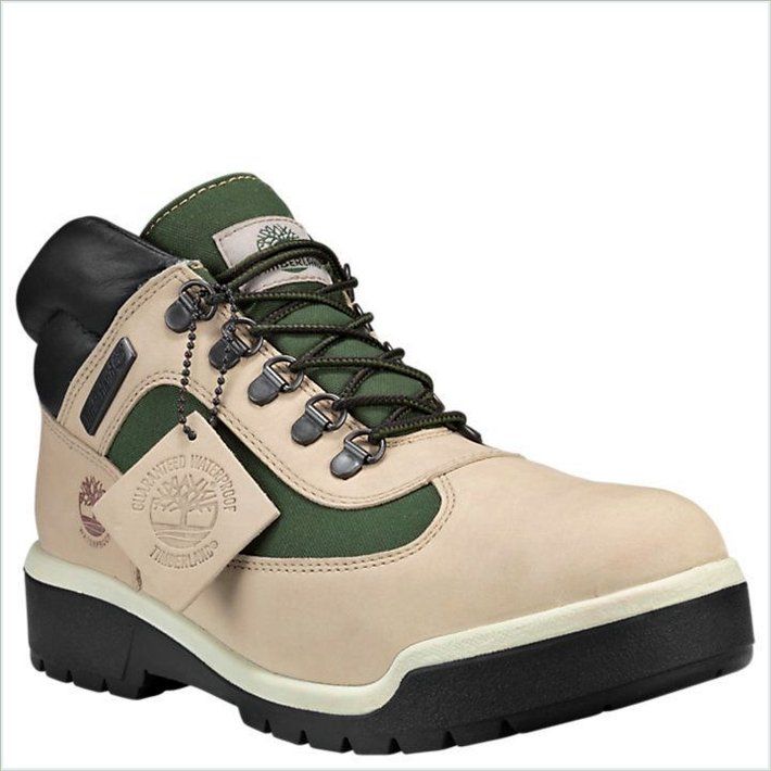  TIMBER Mens Waterproof Field Boots 5