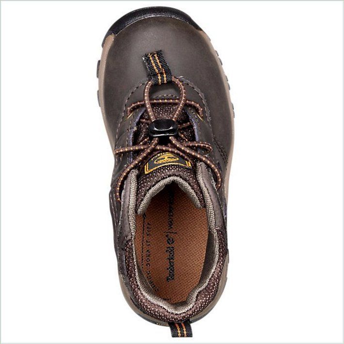  TIMBER Toddler Mt. Maddsen Waterproof Hiking Boots 2